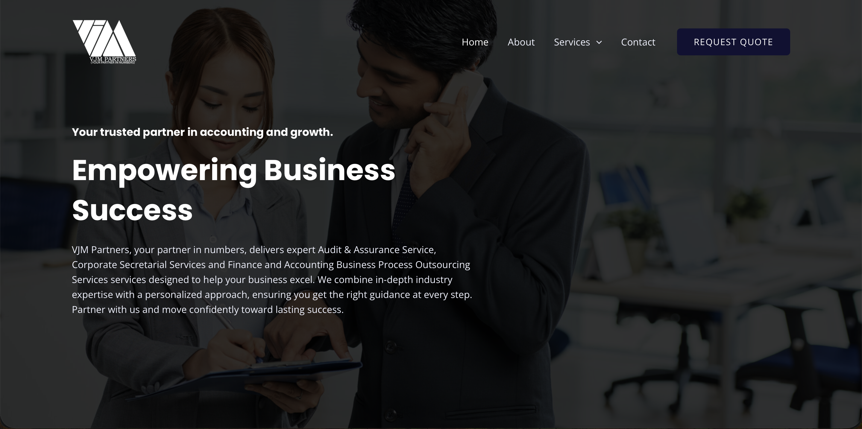 VJM Partners — Professional Services
